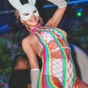 Bad Rabbit