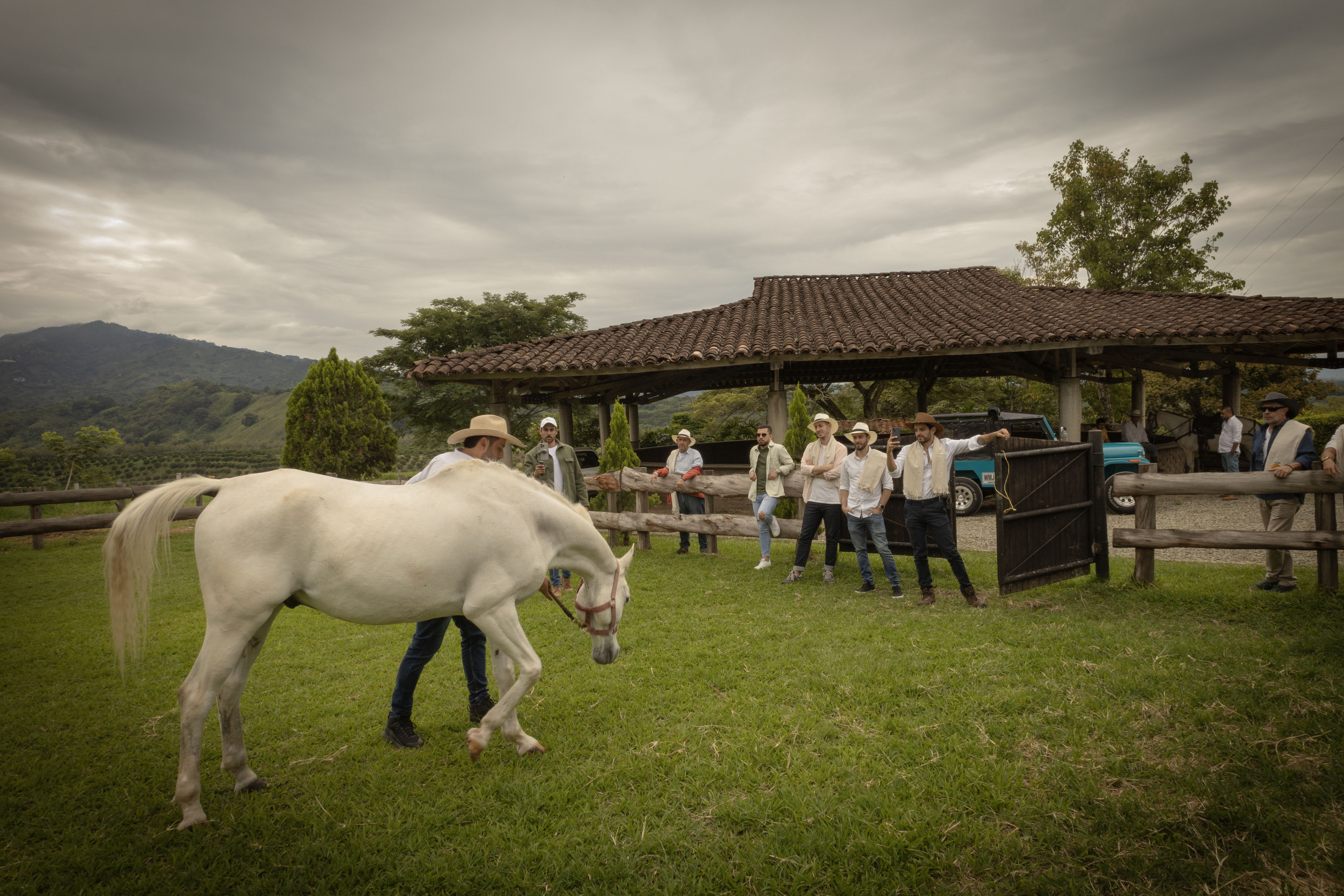 Cabalgata x Génova y Pijao-6c9a5f9f-2d12-4d3f-ab89-a5a5e3c4fb97